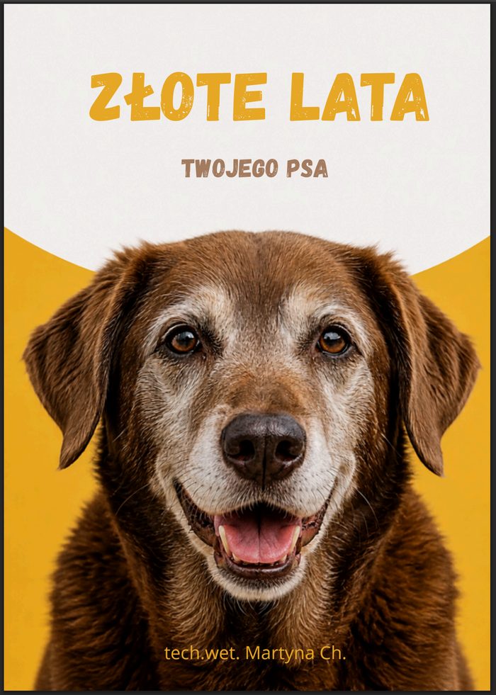 Złote lata Twojego psa